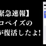 【ブックメーカー速報!!】エコペイズ（ecoPayz）の保留が復活！これで使えますよ😌