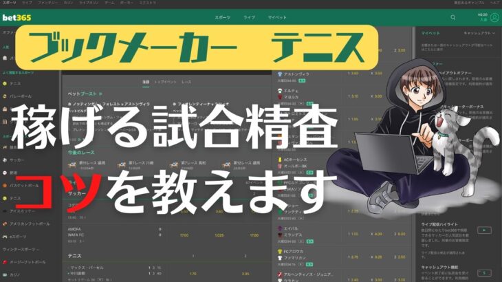 【有料級】ブックメーカー テニスで超重要な試合精査のコツを教えます